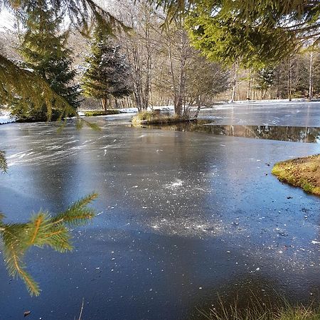 Insolite Chalet De Peche Serenite - Bien Etre Ban-sur-Meurthe-Clefcy Екстериор снимка