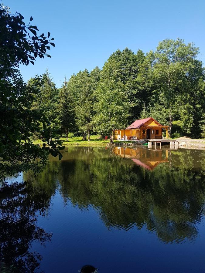 Insolite Chalet De Peche Serenite - Bien Etre Ban-sur-Meurthe-Clefcy Екстериор снимка