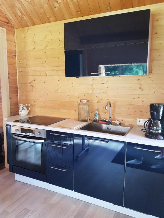 Insolite Chalet De Peche Serenite - Bien Etre Ban-sur-Meurthe-Clefcy Екстериор снимка