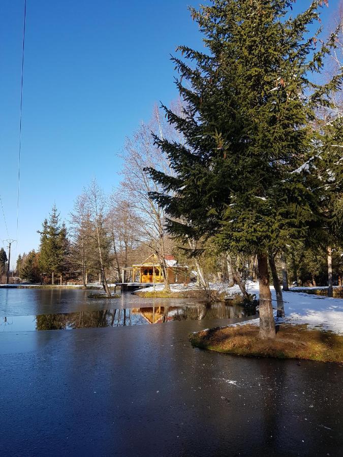 Insolite Chalet De Peche Serenite - Bien Etre Ban-sur-Meurthe-Clefcy Екстериор снимка