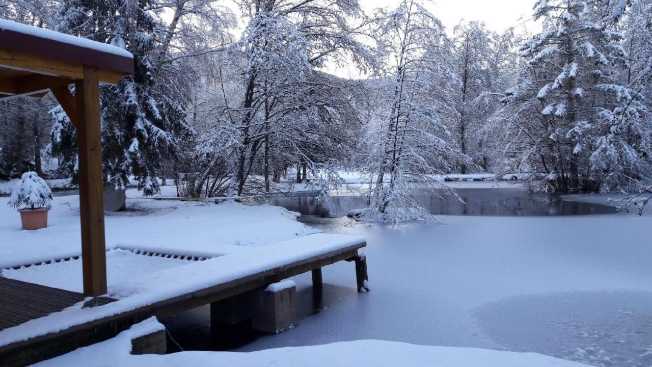 Insolite Chalet De Peche Serenite - Bien Etre Ban-sur-Meurthe-Clefcy Екстериор снимка