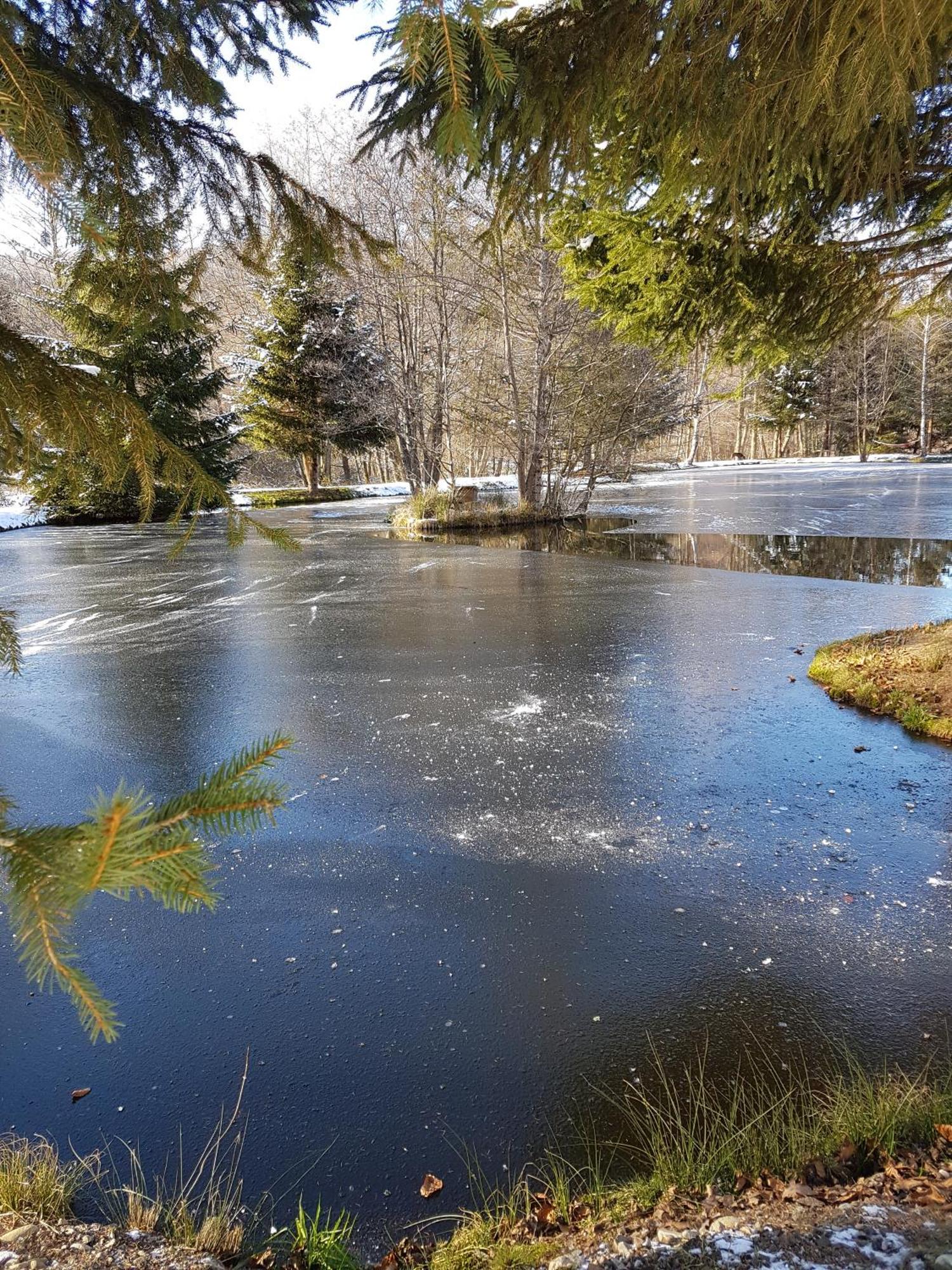 Insolite Chalet De Peche Serenite - Bien Etre Ban-sur-Meurthe-Clefcy Екстериор снимка
