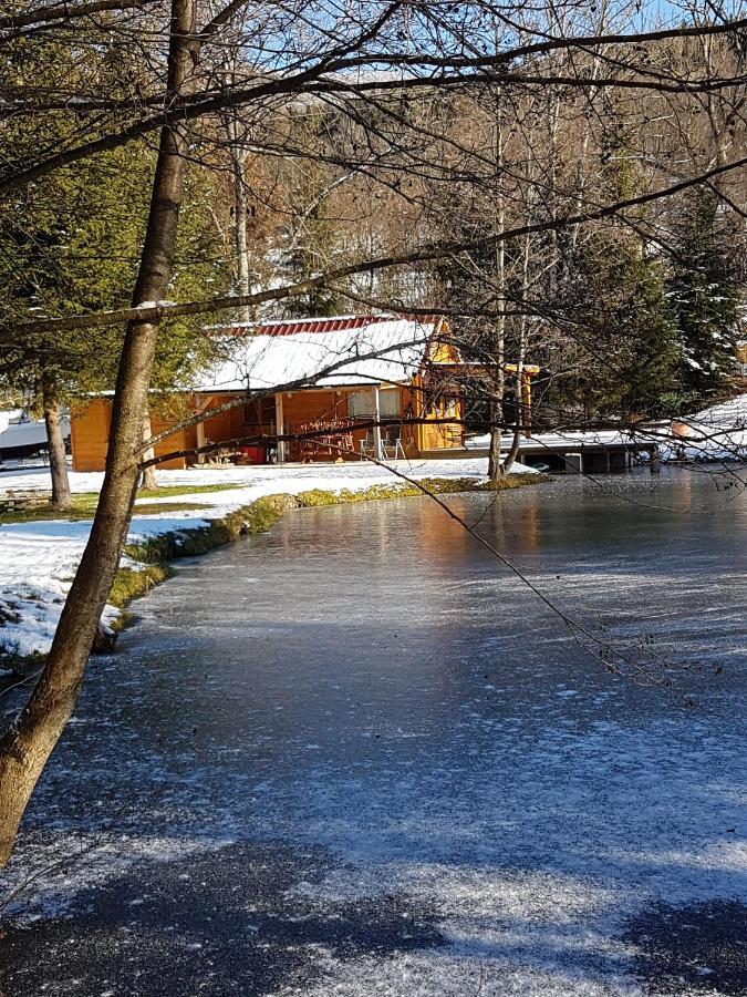 Insolite Chalet De Peche Serenite - Bien Etre Ban-sur-Meurthe-Clefcy Екстериор снимка