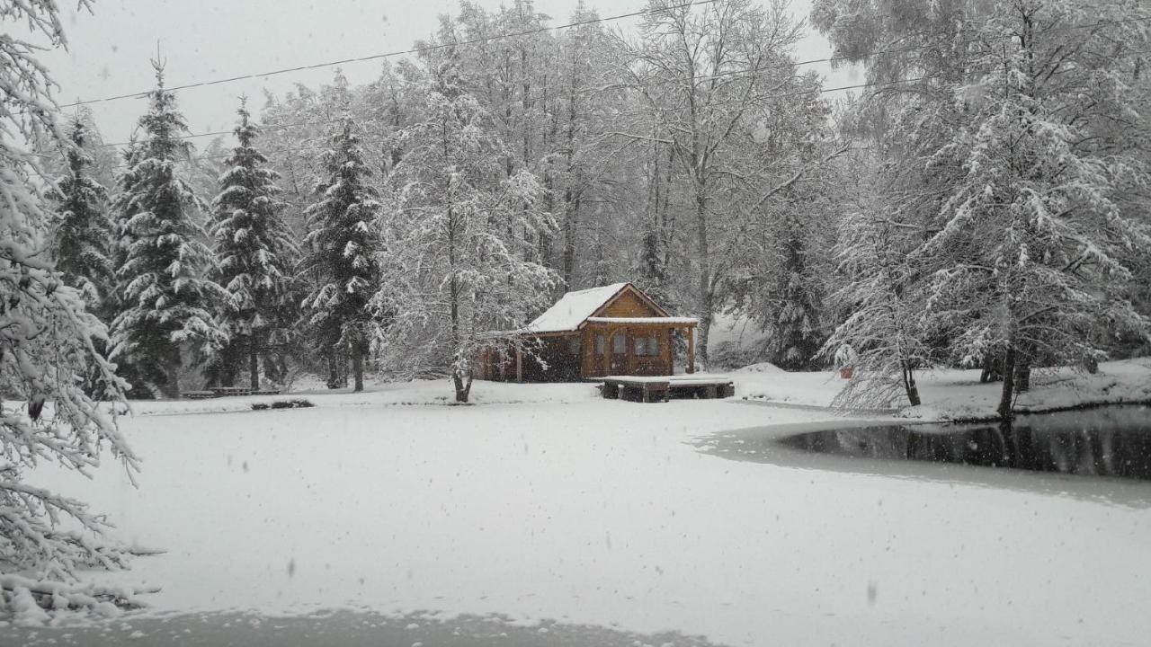 Insolite Chalet De Peche Serenite - Bien Etre Ban-sur-Meurthe-Clefcy Екстериор снимка