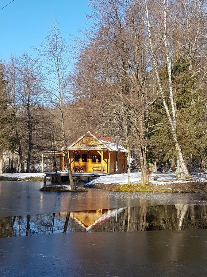 Insolite Chalet De Peche Serenite - Bien Etre Ban-sur-Meurthe-Clefcy Екстериор снимка
