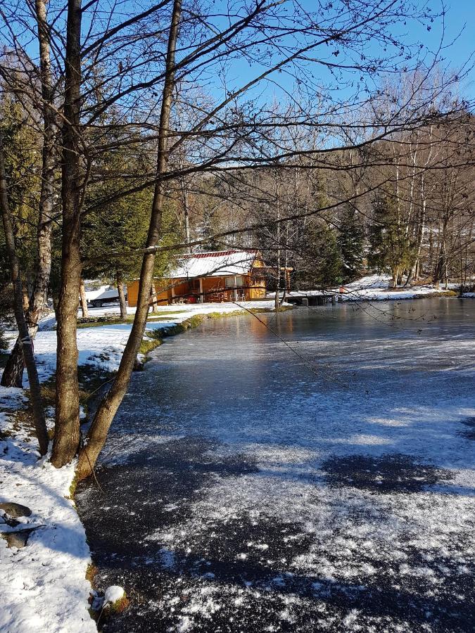 Insolite Chalet De Peche Serenite - Bien Etre Ban-sur-Meurthe-Clefcy Екстериор снимка