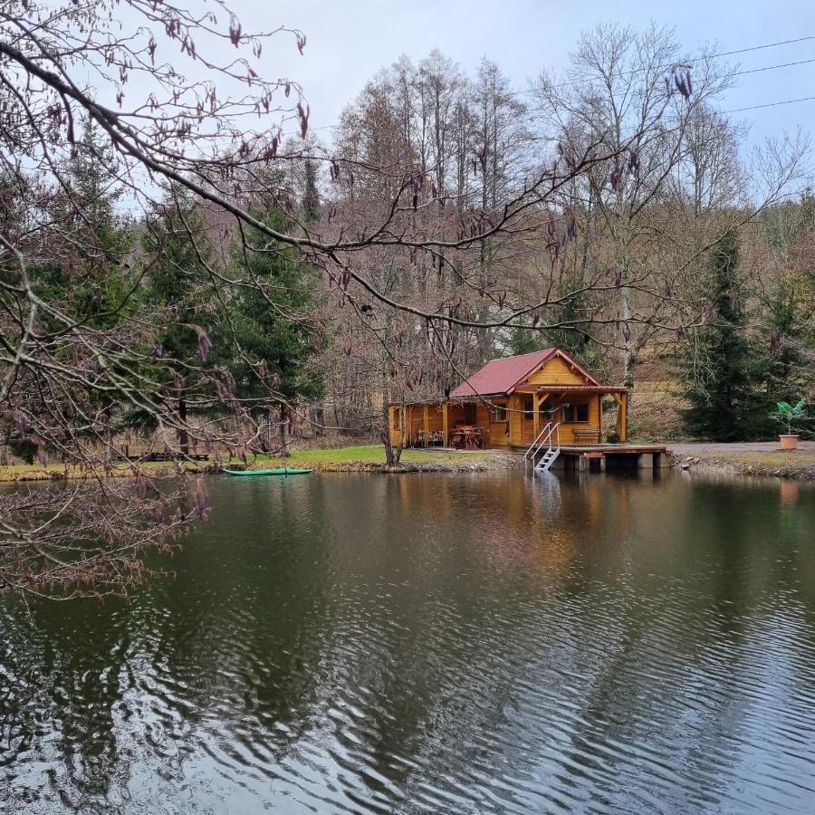 Insolite Chalet De Peche Serenite - Bien Etre Ban-sur-Meurthe-Clefcy Екстериор снимка