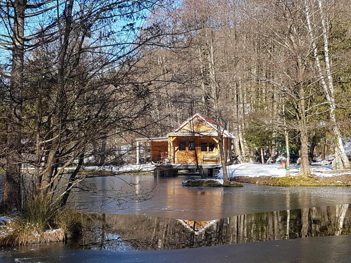 Insolite Chalet De Peche Serenite - Bien Etre Ban-sur-Meurthe-Clefcy Екстериор снимка