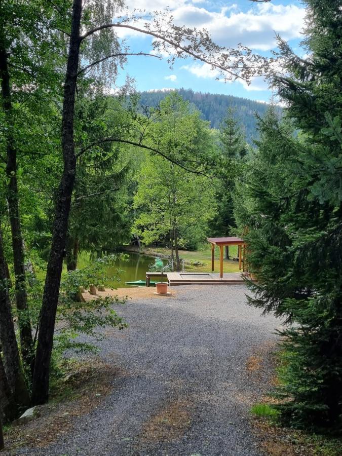 Insolite Chalet De Peche Serenite - Bien Etre Ban-sur-Meurthe-Clefcy Екстериор снимка