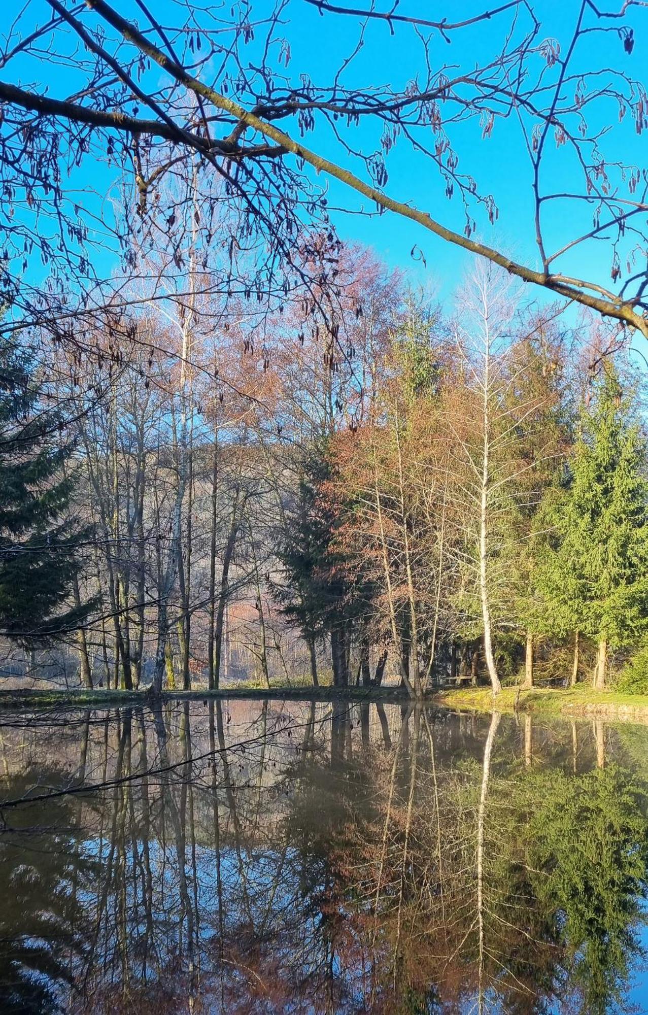 Insolite Chalet De Peche Serenite - Bien Etre Ban-sur-Meurthe-Clefcy Екстериор снимка
